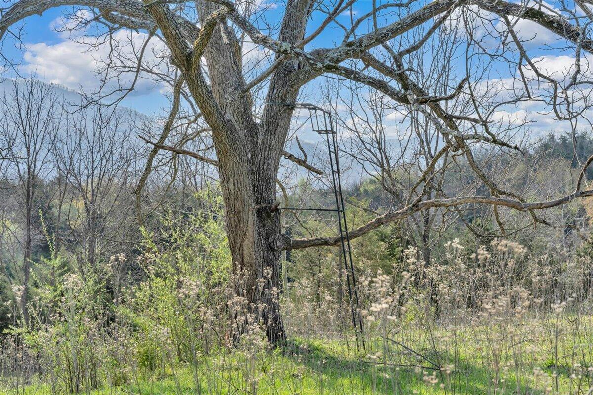 484 Mill Pointe Road Blacksburg, VA 24060 - Photo 62 of 73 58-MIB09354