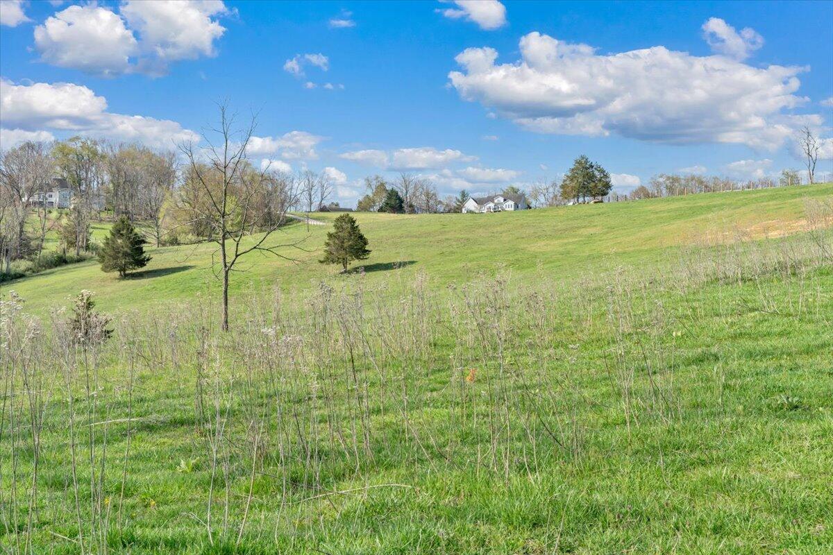 484 Mill Pointe Road Blacksburg, VA 24060 - Photo 63 of 73 59-MIB09357