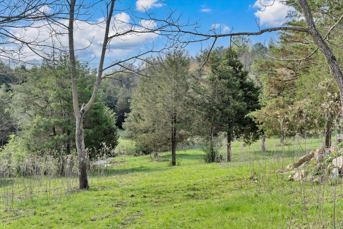 484 Mill Pointe Road Blacksburg, VA 24060 - Photo 64 of 73 60-MIB09360