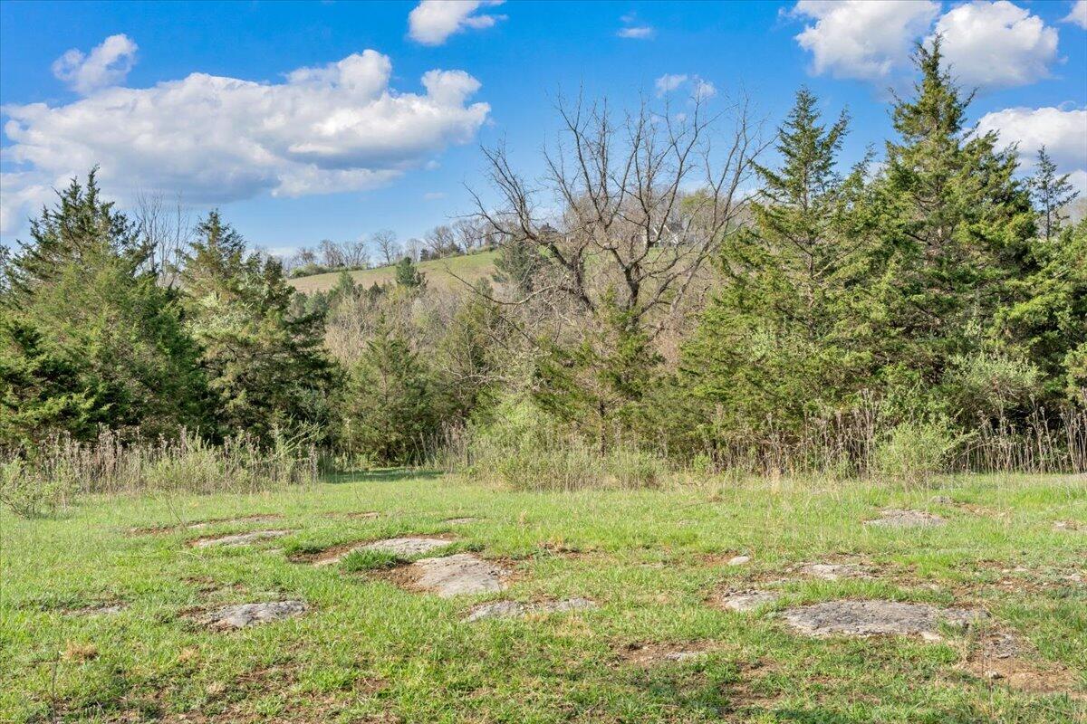 484 Mill Pointe Road Blacksburg, VA 24060 - Photo 66 of 73 62-MIB09366