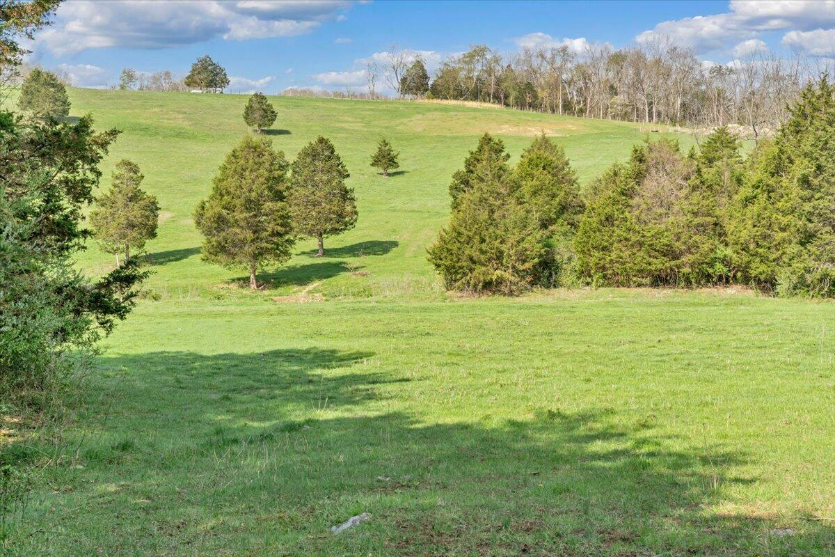 484 Mill Pointe Road Blacksburg, VA 24060 - Photo 70 of 73 67-MIB09381