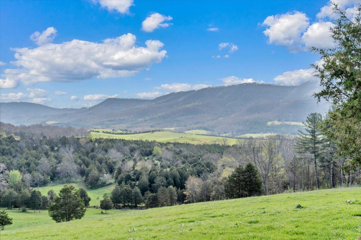 484 Mill Pointe Road Blacksburg, VA 24060 - Photo 72 of 73 69-MIB09387