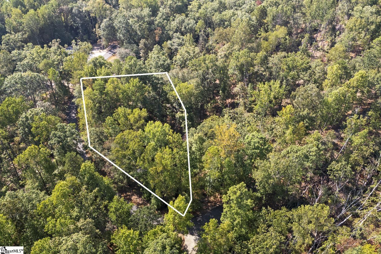 142 Summit Pine Sunset, SC 29685 - Photo 3 of 16