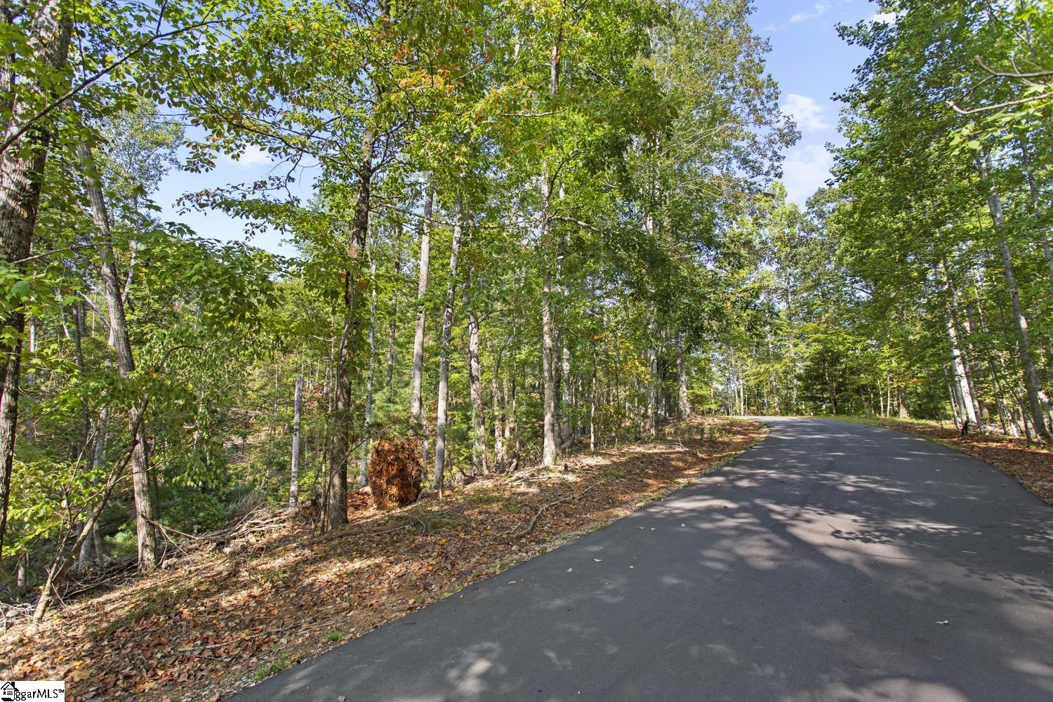 142 Summit Pine Sunset, SC 29685 - Photo 4 of 16