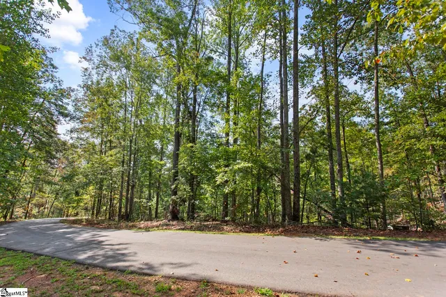 $24,000 | 142 Summit Pine, Sunset, SC 29685