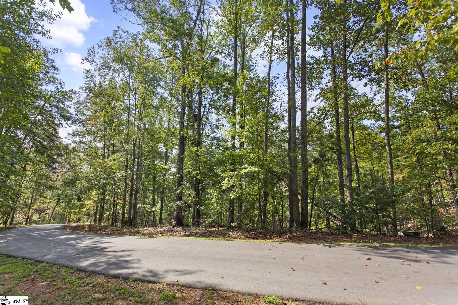 142 Summit Pine Sunset, SC 29685 - Photo 5 of 16