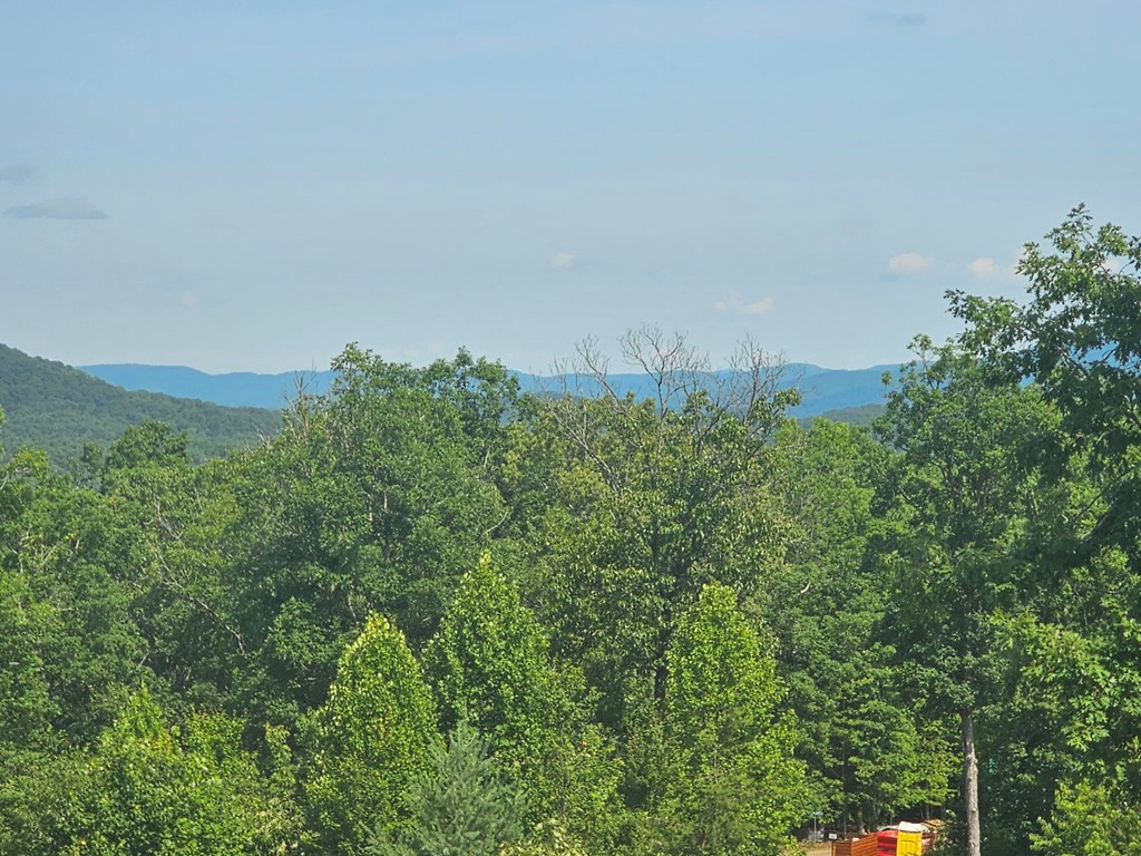 31-acres Upper Bear Paw Road Murphy, NC 28906 - Photo 7 of 26