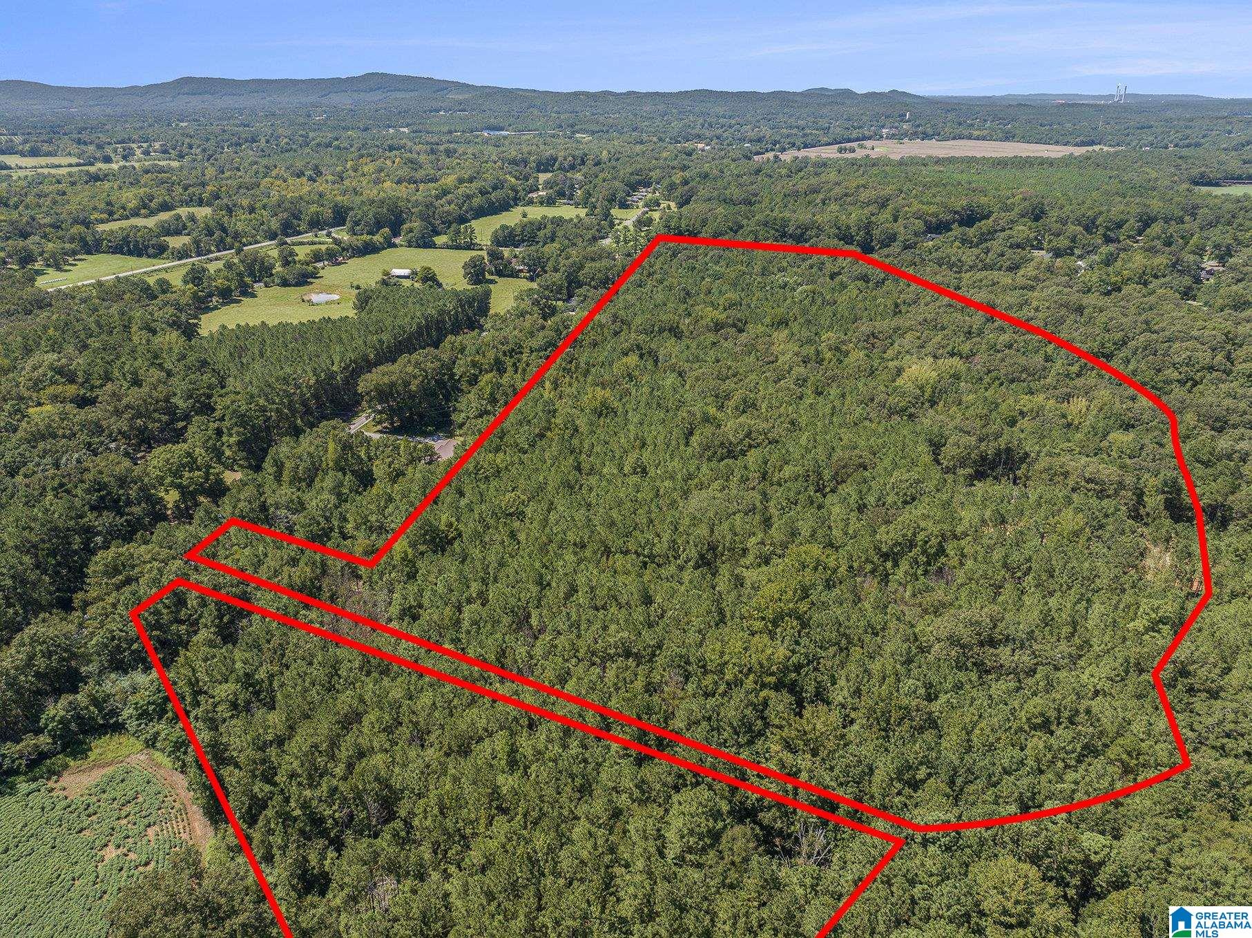 10614 Grist Mill Road, Unit 1 Childersburg, AL 35044 - Photo 6 of 9