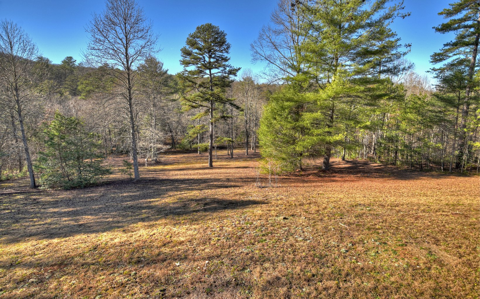 206 Cedar Valley Road Blue Ridge, GA 30513 - Photo 16 of 75 Additional View