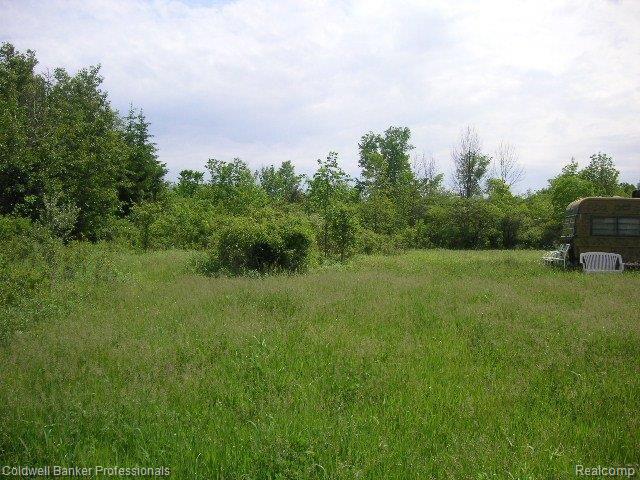 13332 Bemis Road Manchester, MI 48158 - Photo 14 of 25 Bemis,Vacant 014