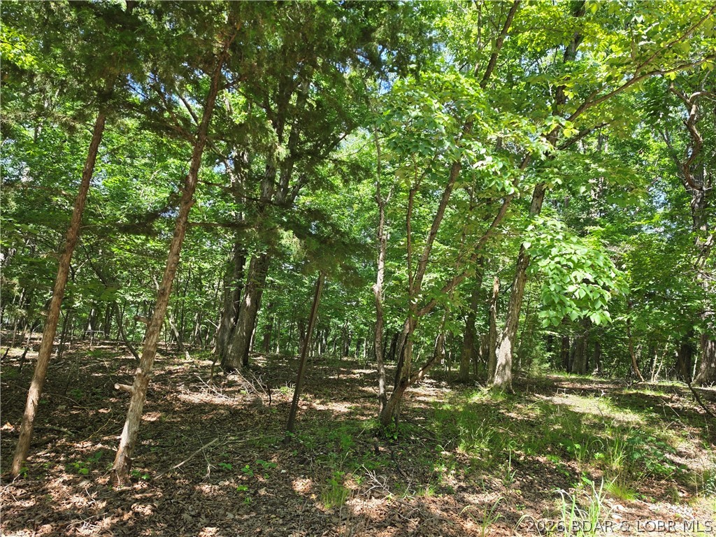 Tbd Cooper Road Gravois Mills, MO 65037 - Photo 4 of 7