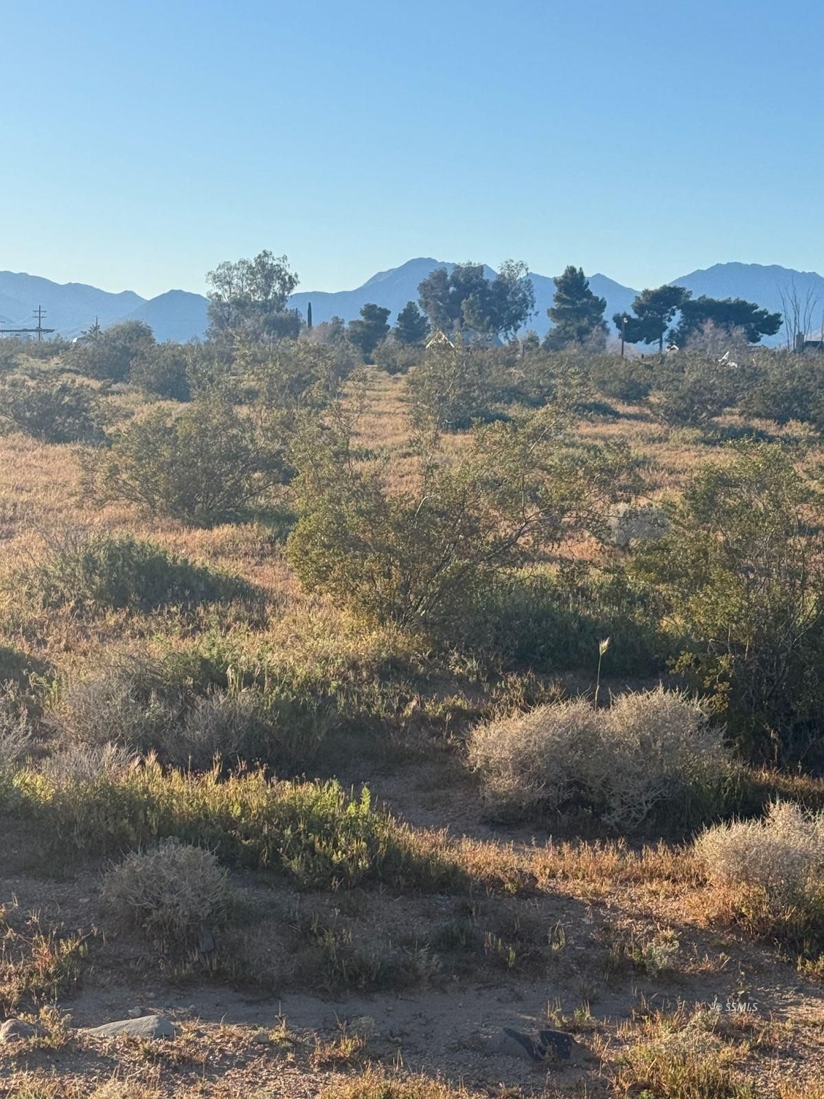 South Brady Street Ridgecrest, CA 93555 - Photo 1 of 8