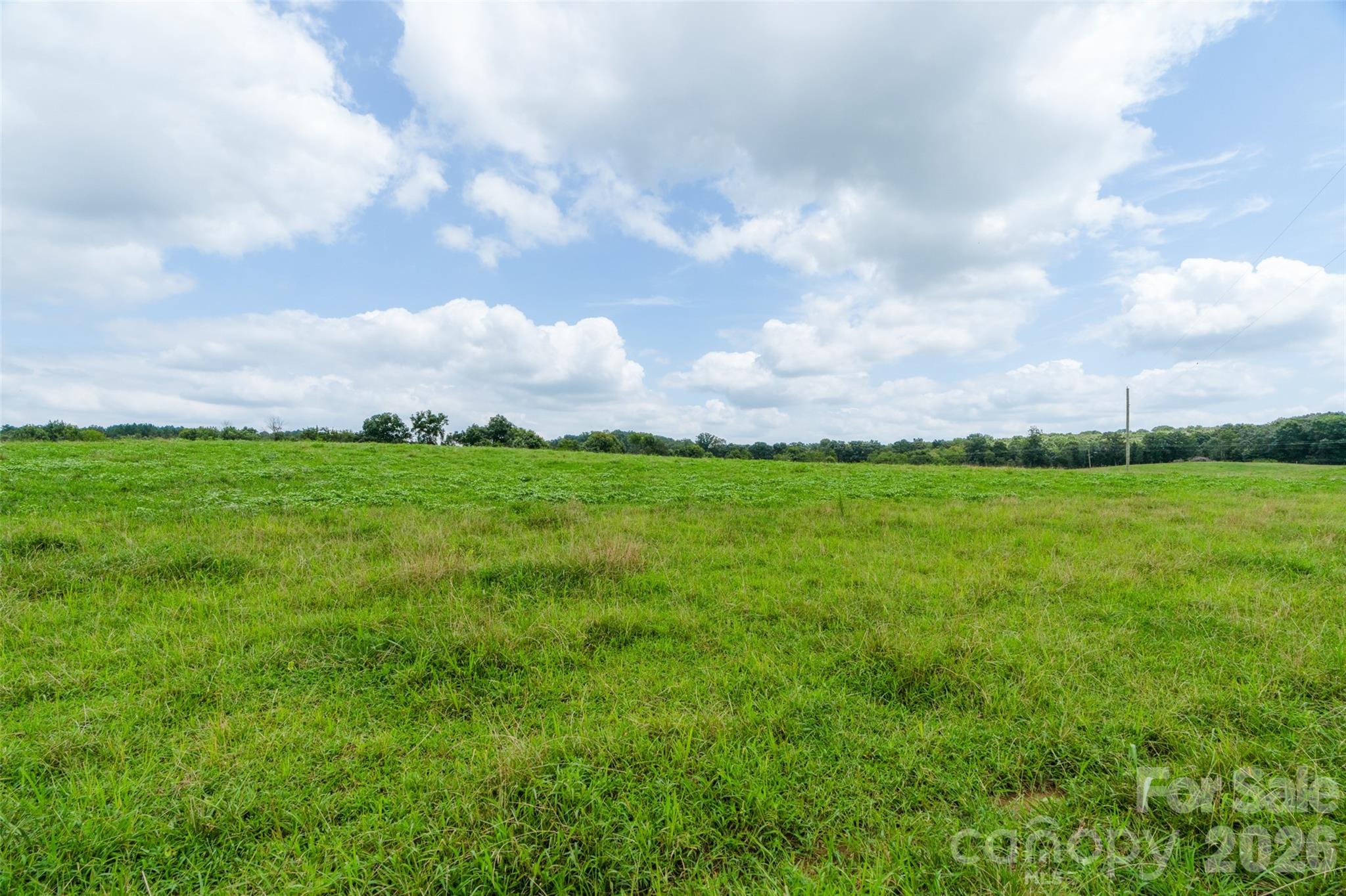 0 Lucy Short Cut Road, Unit G Marshville, NC 28103 - Photo 21 of 22