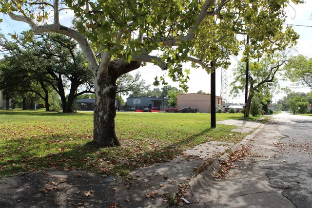 a view of a green field with trees in the background