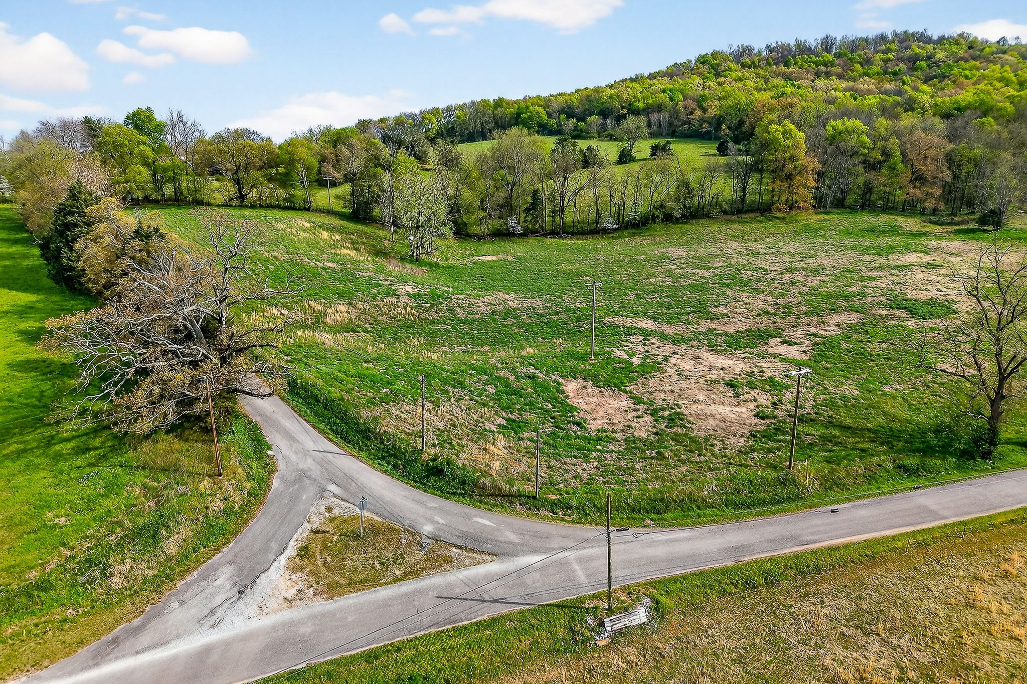 0 Joppa Road Walling, TN 38587 - Photo 2 of 5