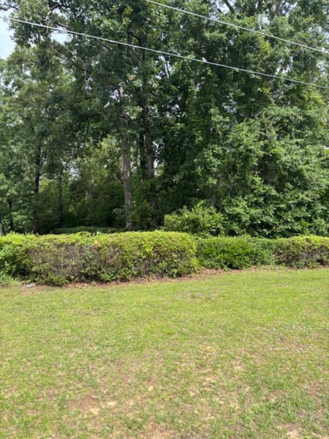 0 Sc Highway Barnwell, SC 29812 - Photo 3 of 4 a view of a field with an trees