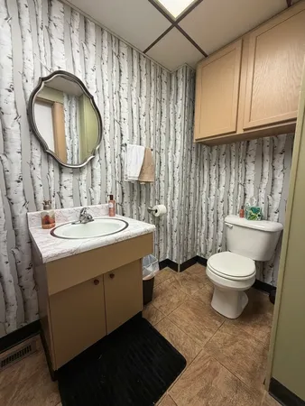 a bathroom with a toilet a sink and a mirror