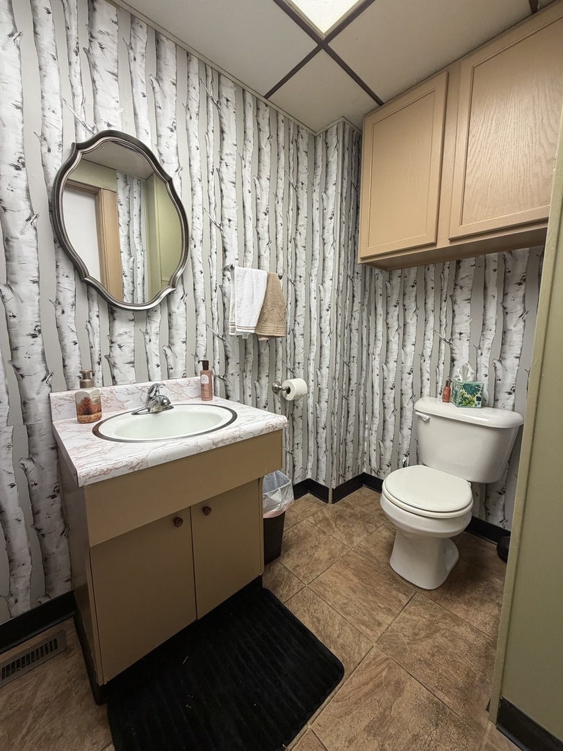 13 East Market Street Shannon, IL 61078 - Photo 10 of 13 a bathroom with a toilet a sink and a mirror