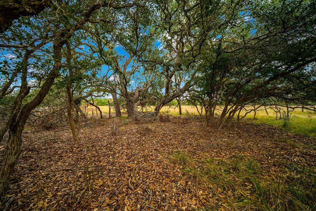 Lot 26 Reservation Road, Unit 26 Harper, TX 78631 - Photo 3 of 5 Gallery Image 3