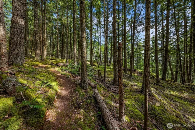 a view of outdoor space and yard