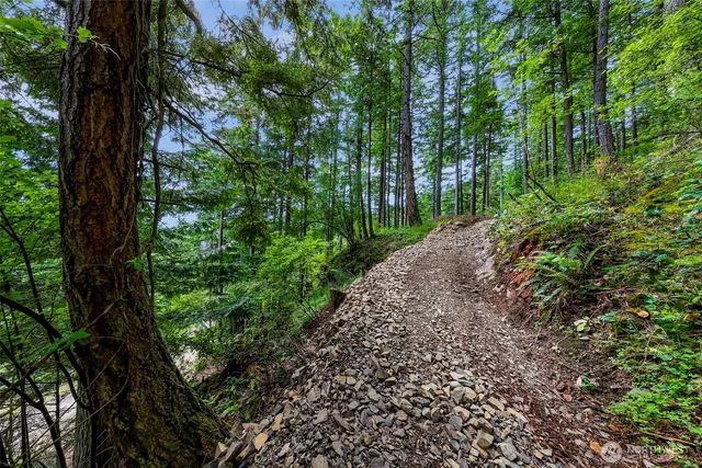 a view of a garden with plants and a large tree