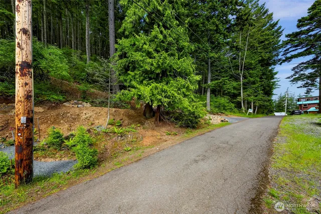 a view of a street with a yard and a fountain