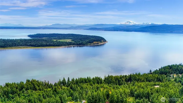 a view of a lake in middle of forest