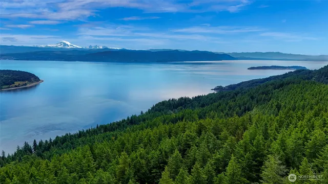 a view of a lake and a mountain