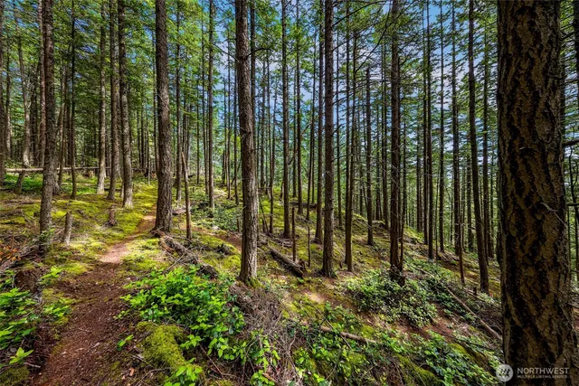 a view of outdoor space and garden