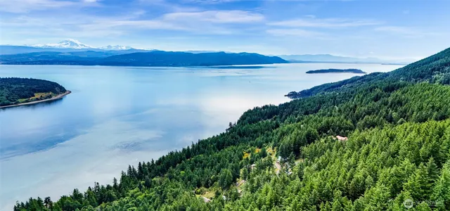 a view of a lake from a yard