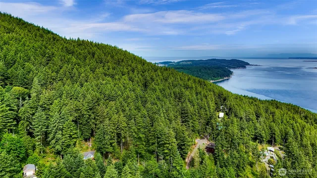 a view of an ocean and beach