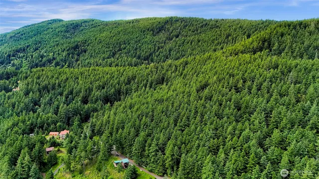 a view of a lush green space