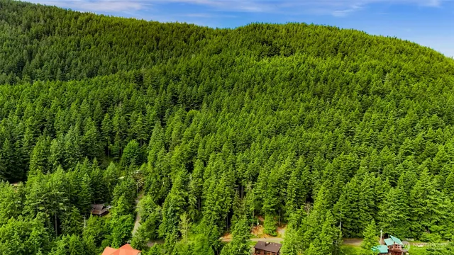 a view of a green field with lots of bushes