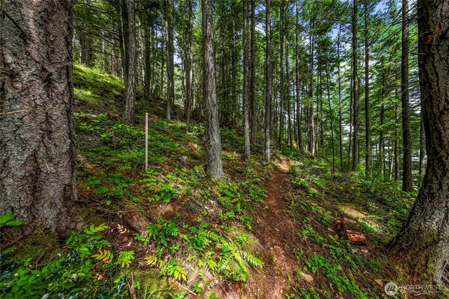 a view of outdoor space and garden