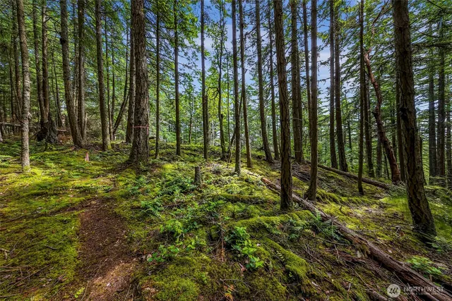 a view of backyard with green space