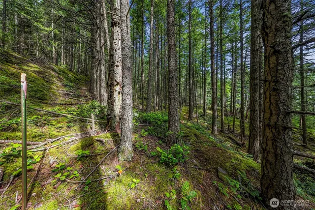 a view of outdoor space and green space