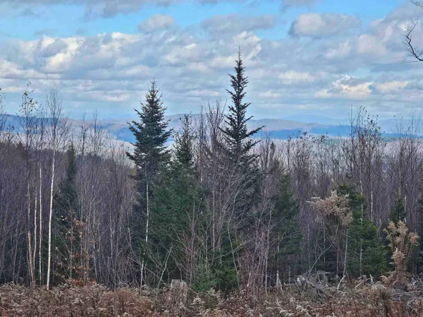 $489,000 | 706 Vermont Rte 100, Stratton, VT 05360