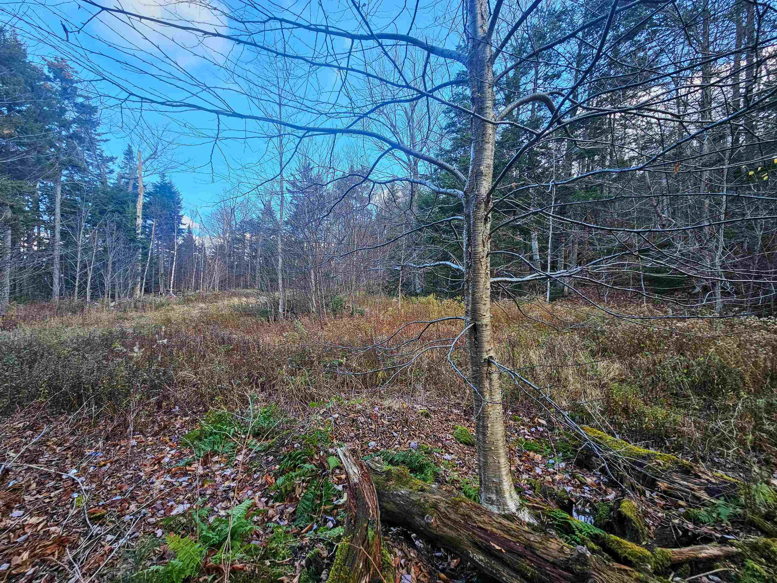 706 Vermont Rte 100 Stratton, VT 05360 - Photo 11 of 36