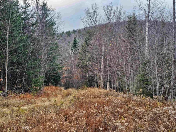 $489,000 | 706 Vermont Rte 100, Stratton, VT 05360