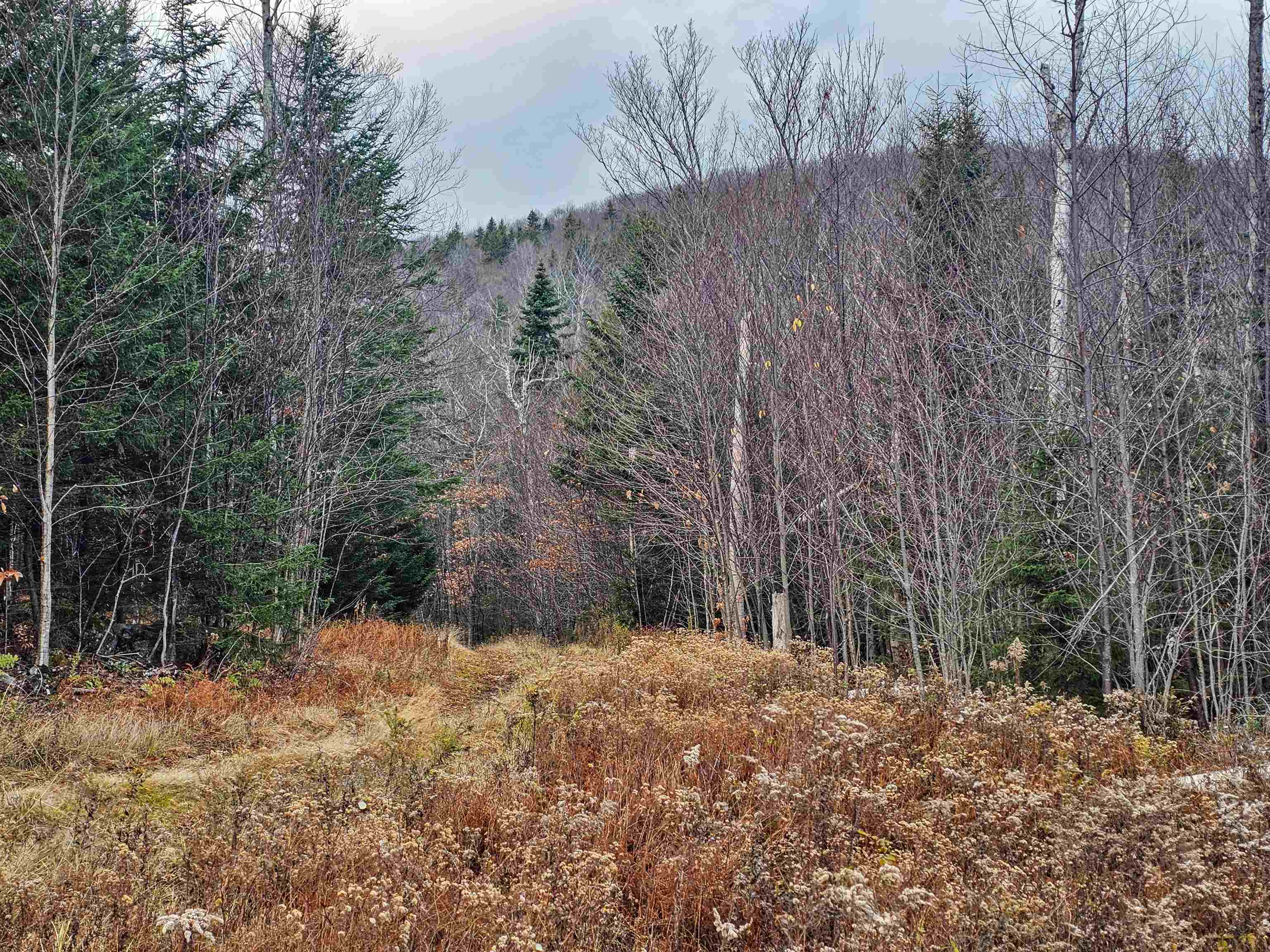 706 Vermont Rte 100 Stratton, VT 05360 - Photo 12 of 36