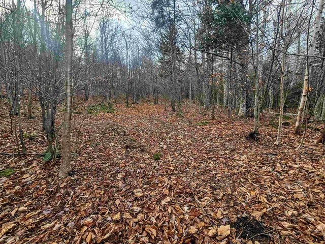 $499,000 | 706 Vermont Rte 100, Stratton, VT 05360