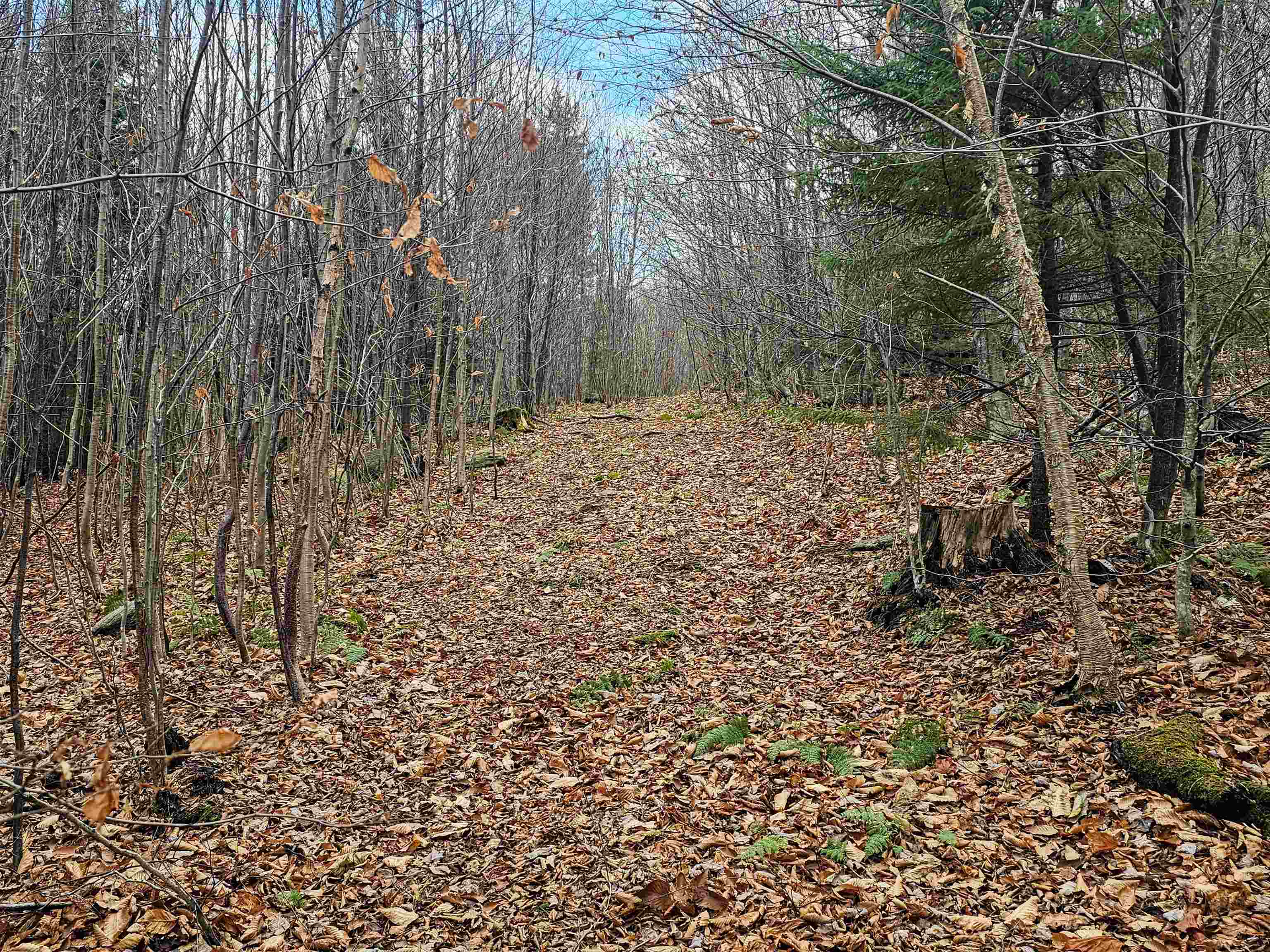 706 Vermont Rte 100 Stratton, VT 05360 - Photo 17 of 36