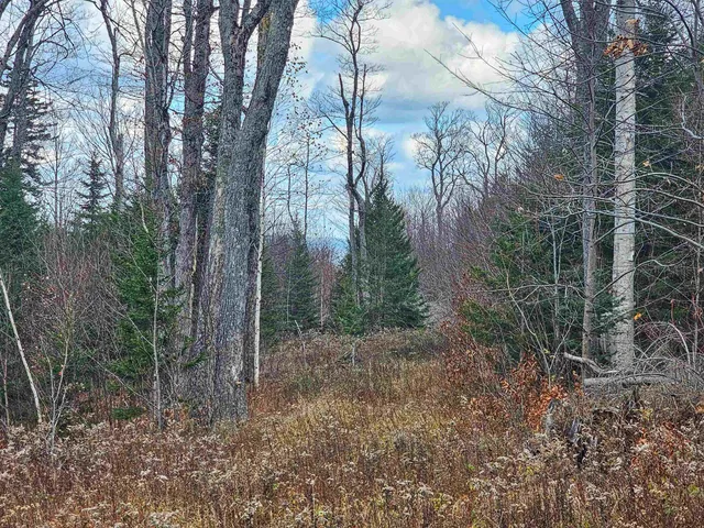 $499,000 | 706 Vermont Rte 100, Stratton, VT 05360