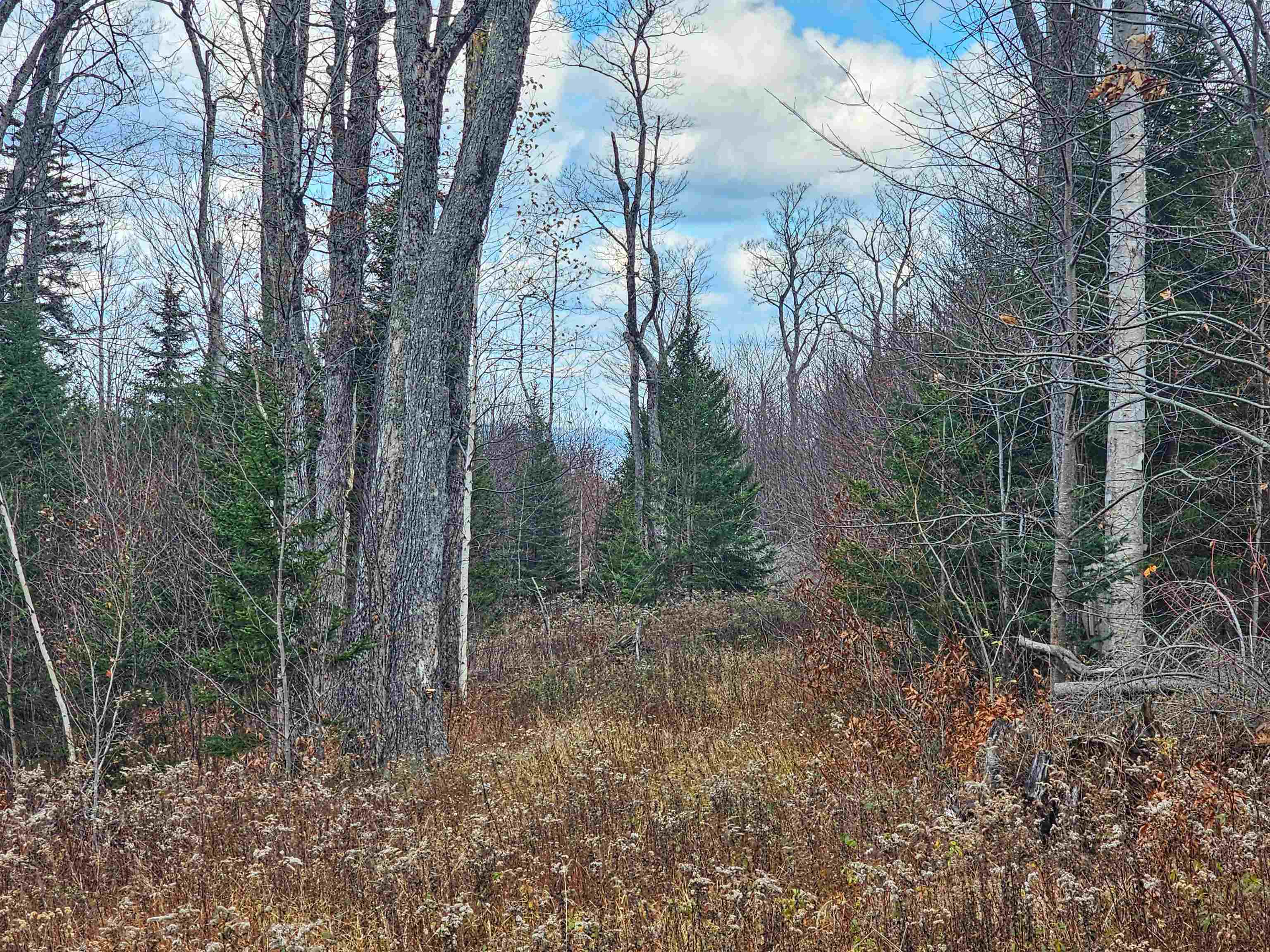 706 Vermont Rte 100 Stratton, VT 05360 - Photo 18 of 36