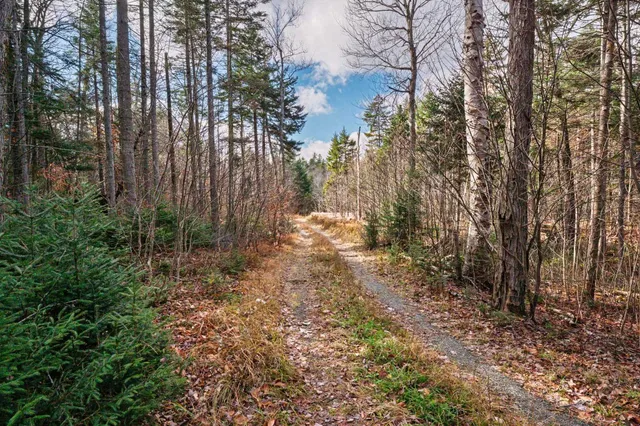 $499,000 | 706 Vermont Rte 100, Stratton, VT 05360