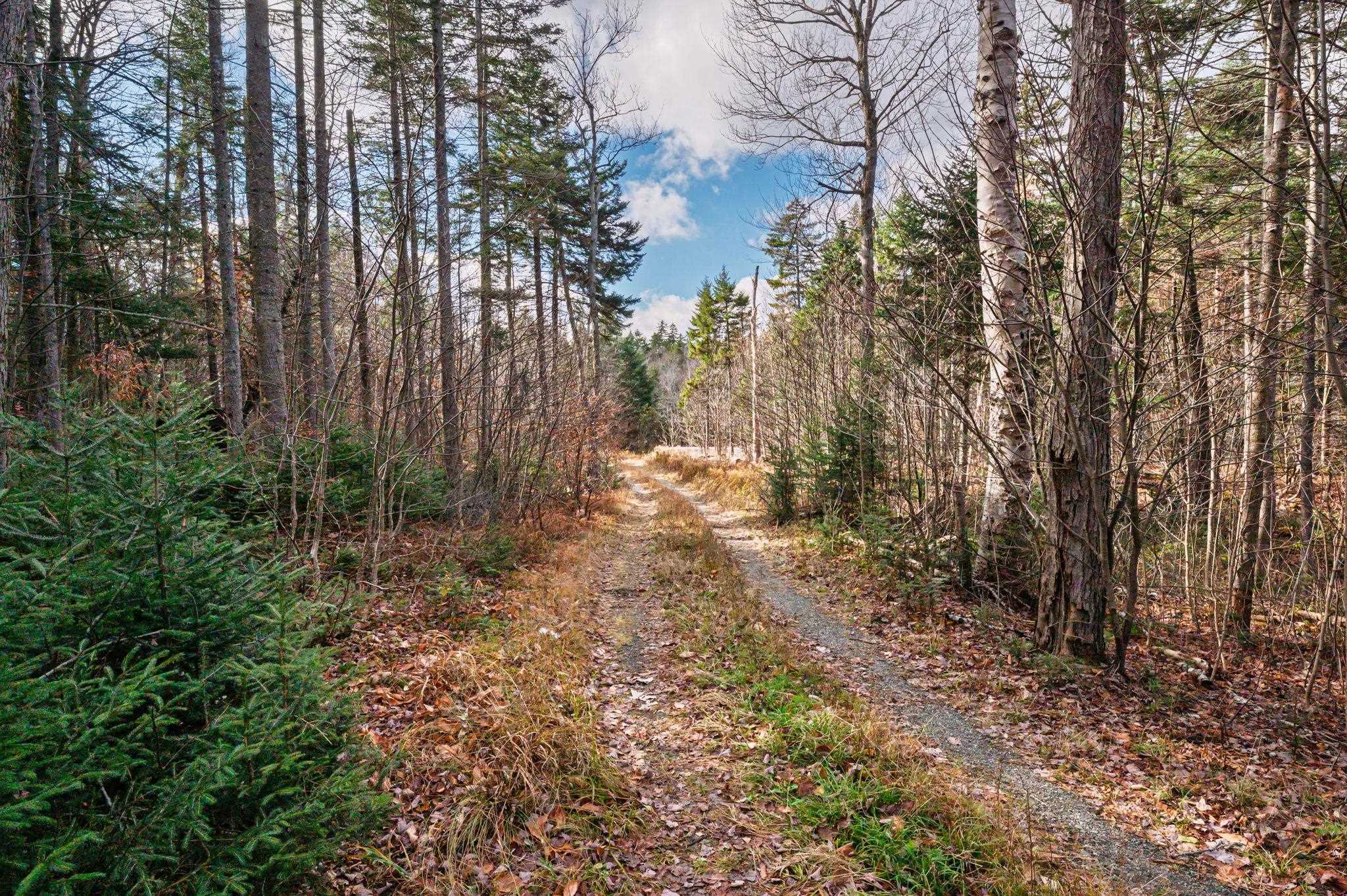 706 Vermont Rte 100 Stratton, VT 05360 - Photo 20 of 36