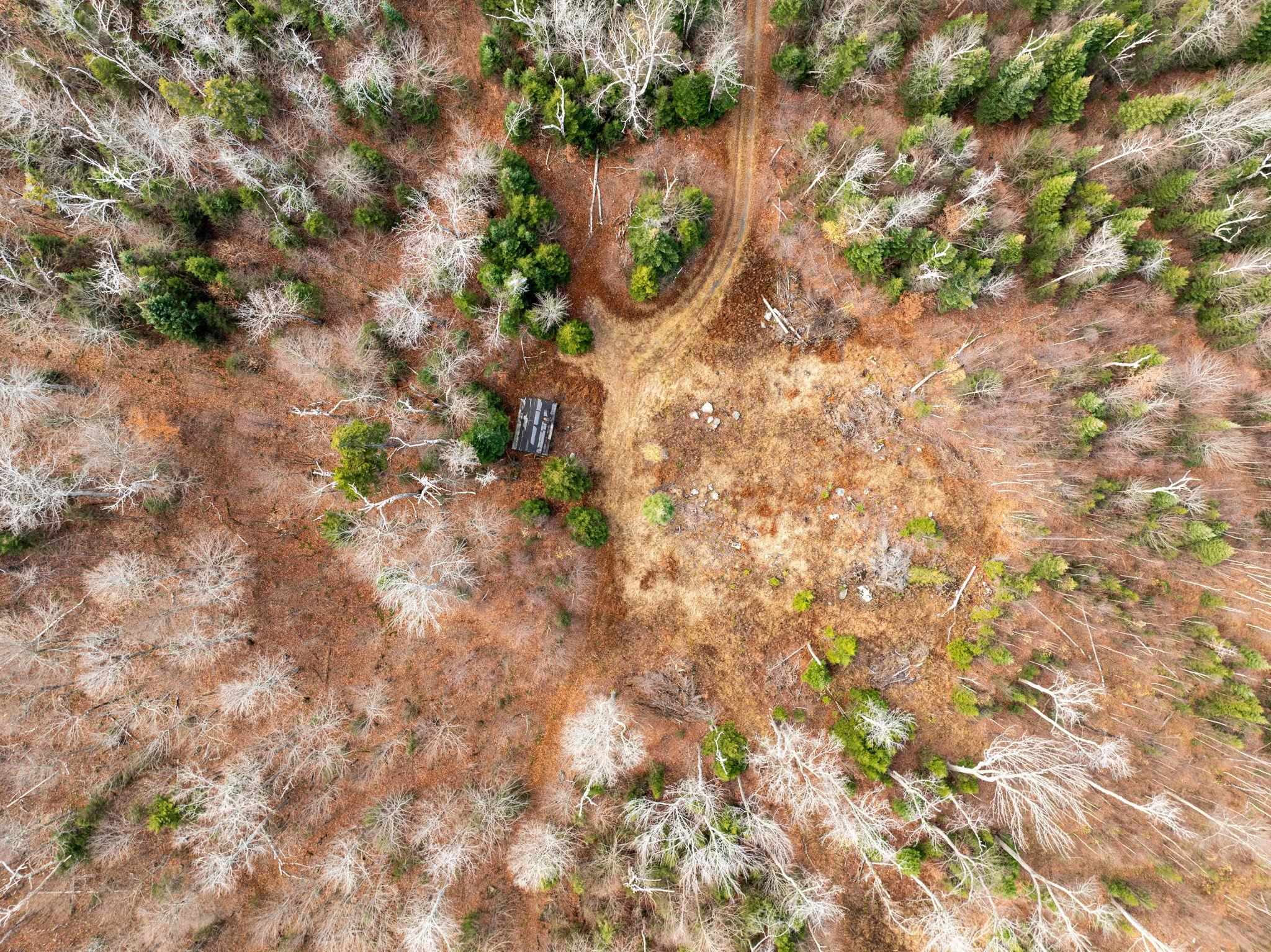 706 Vermont Rte 100 Stratton, VT 05360 - Photo 23 of 36