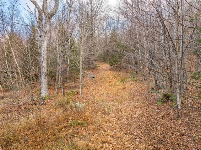 $499,000 | 706 Vermont Rte 100, Stratton, VT 05360