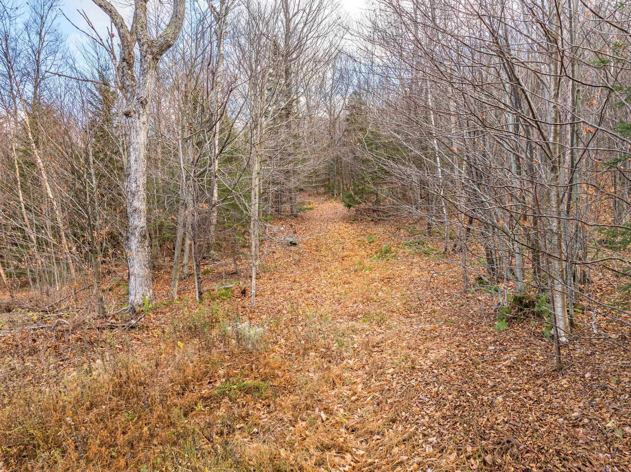 706 Vermont Rte 100 Stratton, VT 05360 - Photo 25 of 36