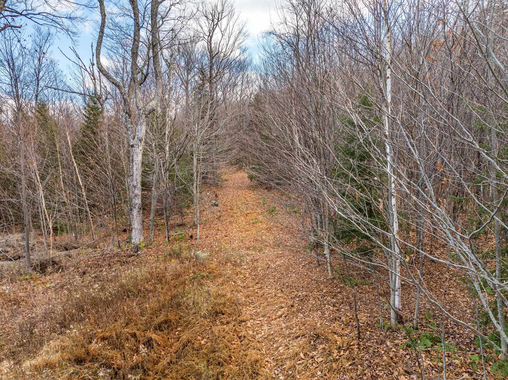 706 Vermont Rte 100 Stratton, VT 05360 - Photo 26 of 36